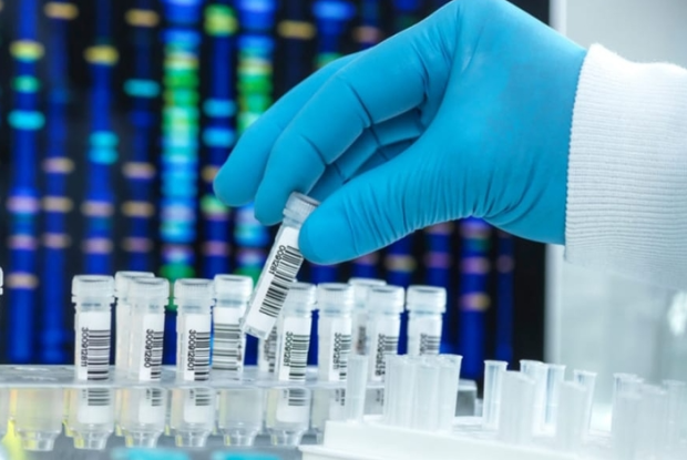 image-1768109825_6edacbbd9c005d3dad68c004d6ed0a19