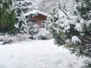 image-1768722133_qar