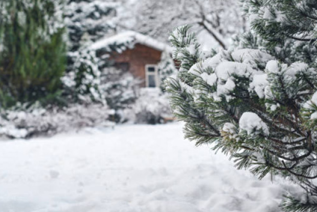 image-1768722133_qar