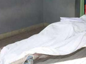 image-1768726645_meyit123