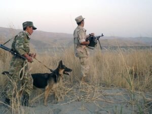 image-1768734539_5433875001384832570