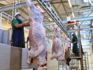 image-190d1e85a58195f6763f07c640ad3315