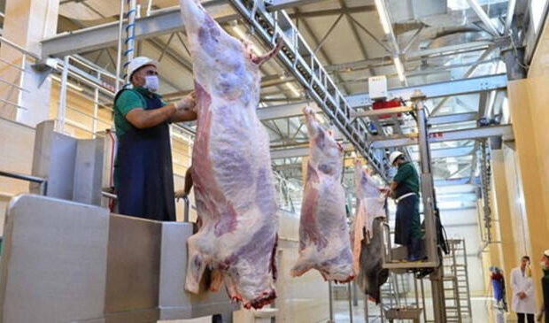 image-190d1e85a58195f6763f07c640ad3315