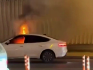 image-1bae1156a2718d0f5b3a09e7036d5113