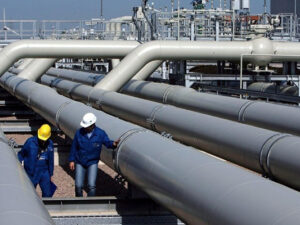 image-6952d788157ba6952d788157bb17670368076952d788157b76952d788157b9