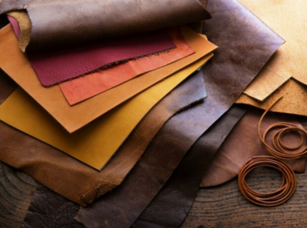 image-696508a3089c2696508a3089c31768229027696508a3089c0696508a3089c1