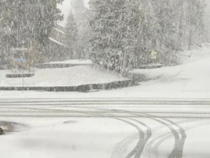 image-69662531050ed488__w1200xh769-1