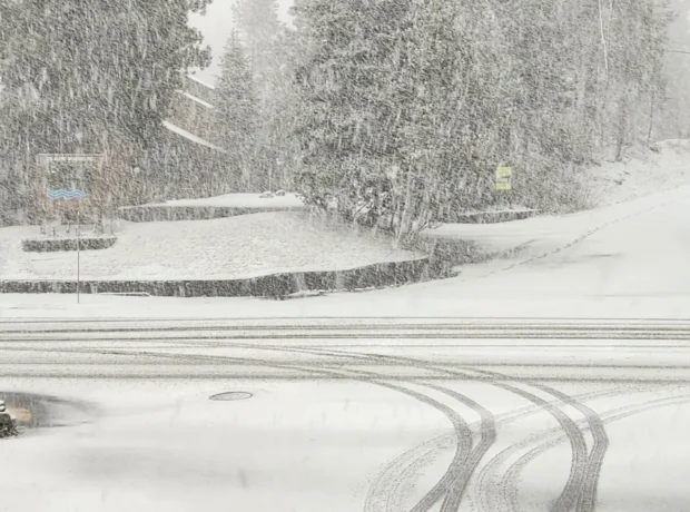 image-69662531050ed488__w1200xh769-1