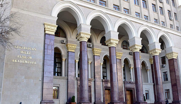 image-amea_bina_020519