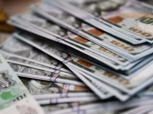 image-dollar2222211122333225545658