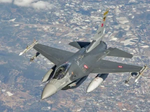 image-f16lar