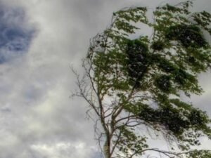 image-hava_kulekli_1