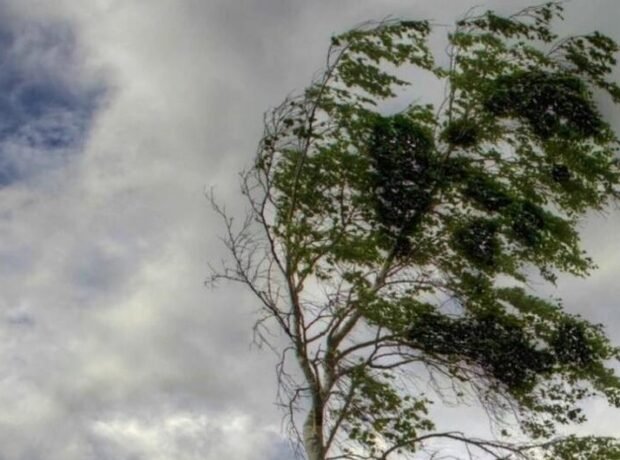 image-hava_kulekli_1