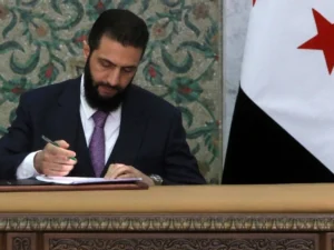 image-heplurn3nh9uelclafmp66xz8j2xwio51j9oai8p_825