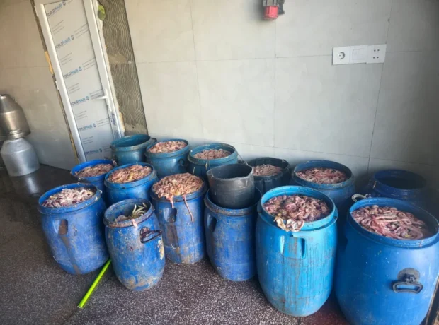 image-jbomas7i8ul9jge3hsjbtorb8ha7w6ytf5zg3dsl_1200