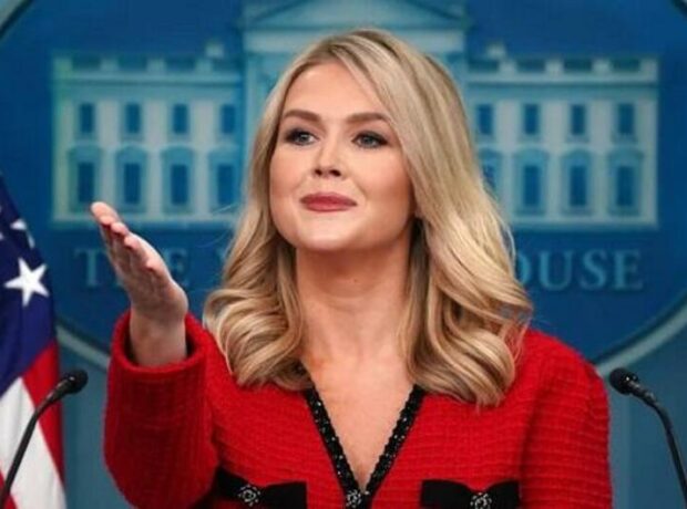 image-karolin-levitt