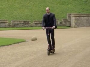 image-owl_detail_620_792cd2403429daebe778551a3c9dc88d