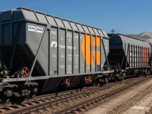 image-qatar-seker-tozu