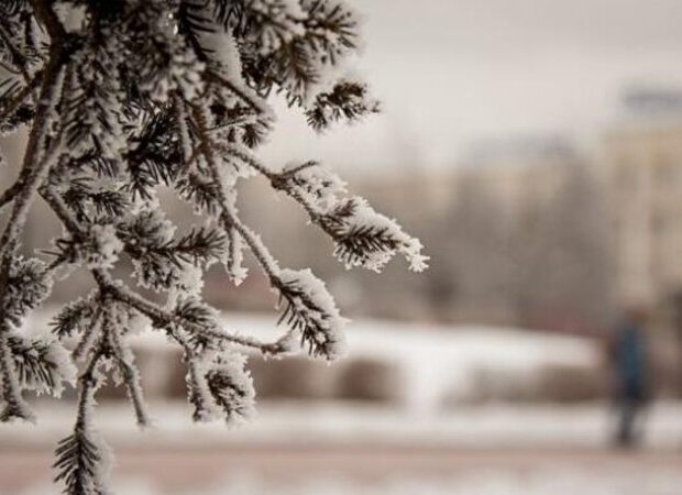 image-saxta-saxtali-hava