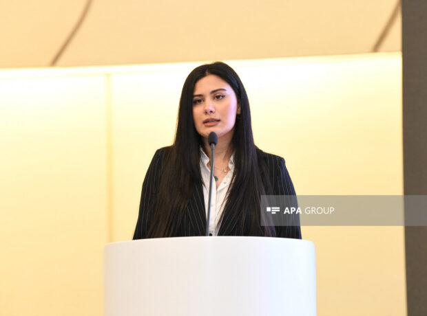 image-sebine-bagirova