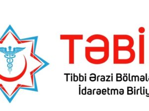 image-tebib01