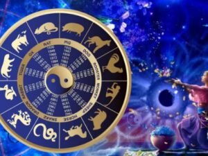 image-1772044379_r5gb1resh1brh