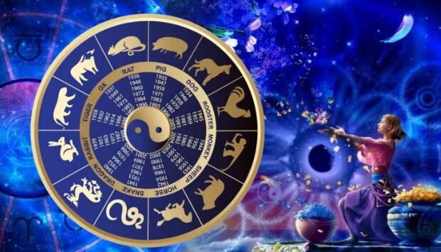 image-1772044379_r5gb1resh1brh