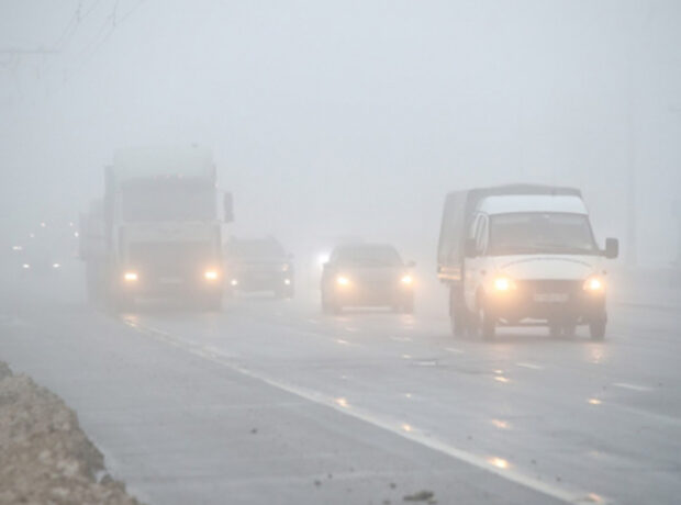 image-24ca346de5d827de3358783e81db9197