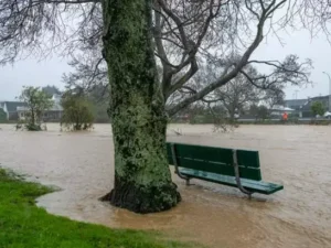 image-6992d31bf54a18c0d0f94a39