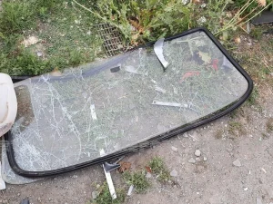 image-54eb5beb-d3eb-30dc-8642-4e9bab765337_1200