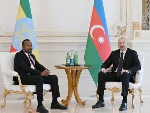 image-6989eae1e6ea26989eae1e6ea317706462416989eae1e6ea06989eae1e6ea1-6