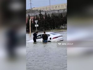 image-69c93ab1576bc69c93ab1576bd177479544169c93ab1576ba69c93ab1576bb