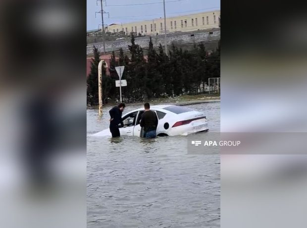 image-69c93ab1576bc69c93ab1576bd177479544169c93ab1576ba69c93ab1576bb