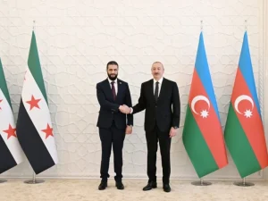 image-e6dn6hgkb8qdkrkh9kjpkioqqg1jquod31sjym35_1200-8