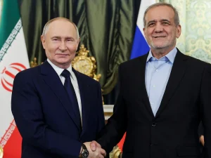 image-e6dn6hgkb8qdkrkh9kjpkioqqg1jquod31sjym35_1200-9