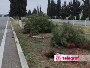 image-gence_qezadan_sonra