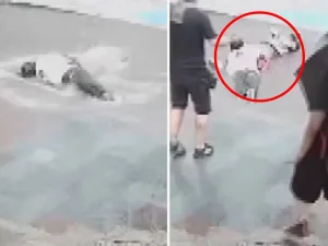 image-izmir-de-2-kisinin-akima-kapilarak-olumune-19651651_4027_amp