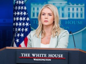 image-karolin-levitt