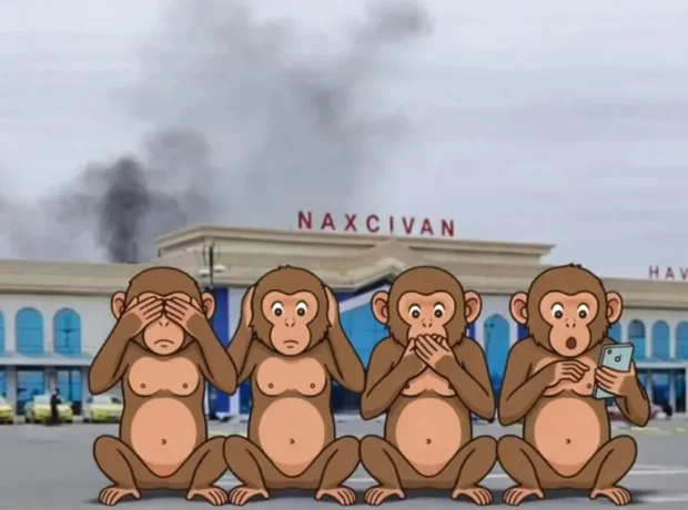 image-muleima4zvmm1b1jotrgmb8c8ydstyi5sfx6gfjh_1200