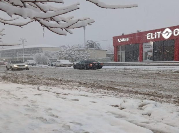 image-qar-11-900x600