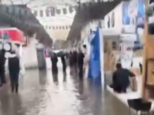 image-sederek-su-basdi