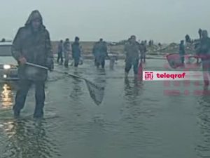 image-whatsapp_image_2026-03-29_at_17-48-57