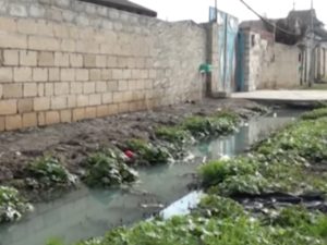 image-yevlax-arx-olum