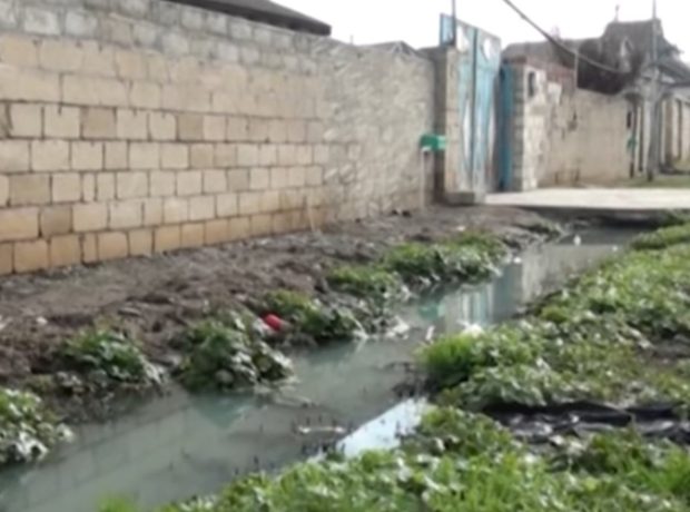 image-yevlax-arx-olum