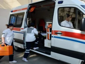 image-01kq47n7ajtzek5mtwwkpmkf09-large