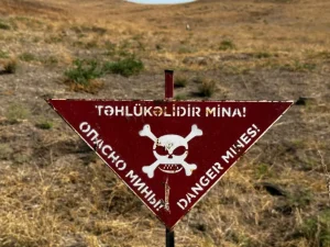 image-01kq4n350syhm9m8k0az1fssg0-large-1