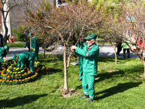 image-1776520576_bas