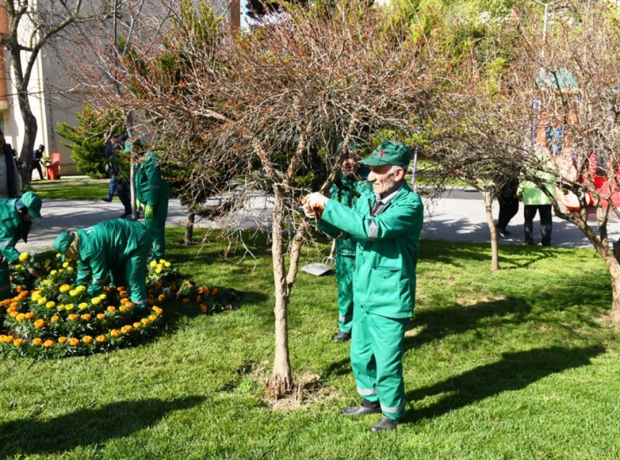 image-1776520576_bas