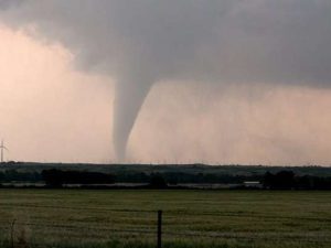 image-1776536823_2026-03-07-14-12-111qvb3euowepwpdjoidai_file