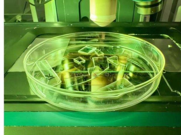 image-1776782846627555353_1200x630